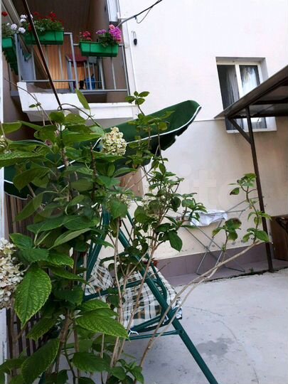 Комната 12 м² в 1-к., 1/2 эт.