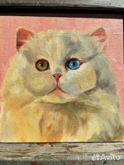 Белый, пушистый котик. Картина маслом