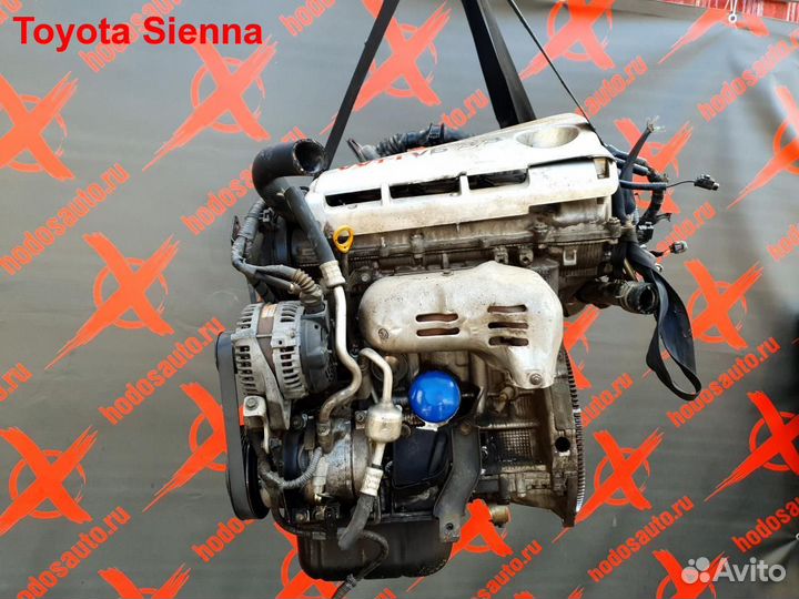 Двигатель 3MZ-FE Toyota Sienna