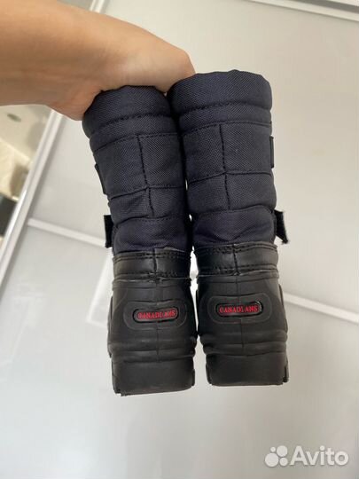 Сапоги демисезонные