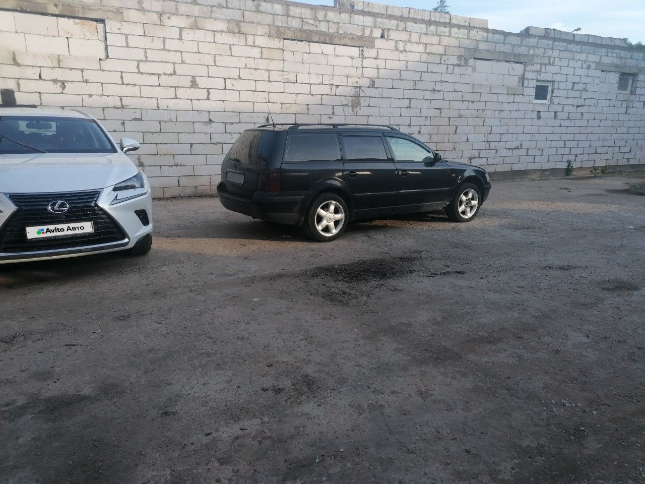 Volkswagen Passat: фото владельца