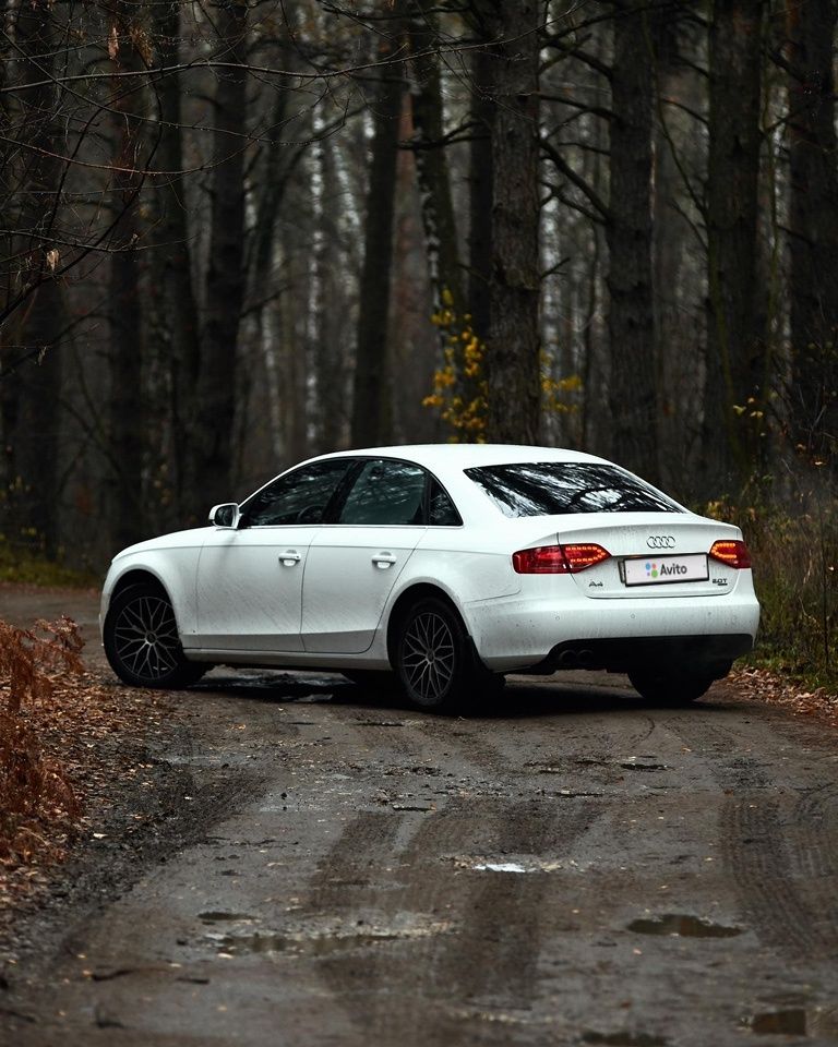 Audi A4: фото владельца
