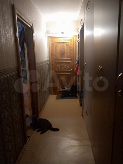 2-к. квартира, 53 м², 3/5 эт.