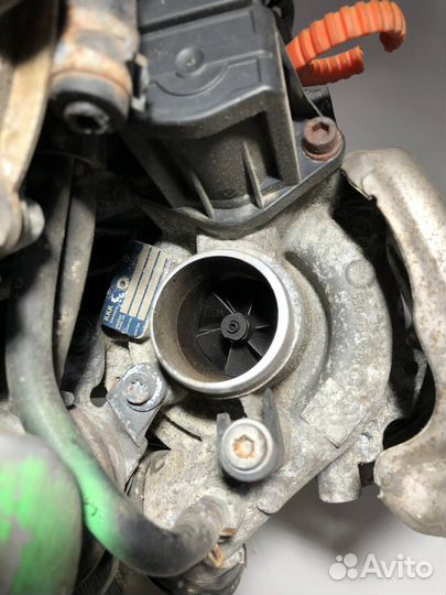 Двигатель Volkswagen Golf Plus 2 2010 CAV