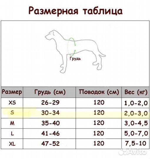 Поводок и намордник для мелких собак