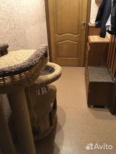 Домик-когтеточка для котика