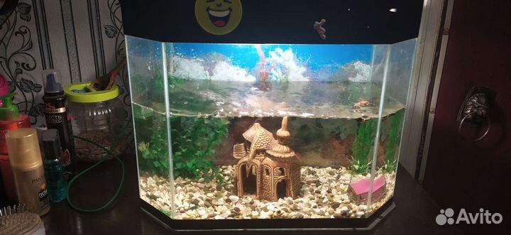 Аквариум