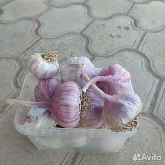 Доставка овощей и мяса