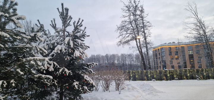 1-к. апартаменты, 55 м², 4/6 эт.