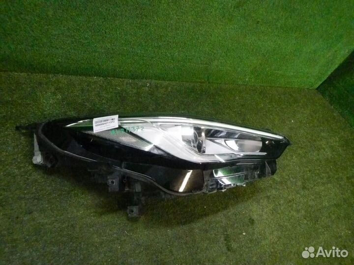 Фара правая Infiniti QX50