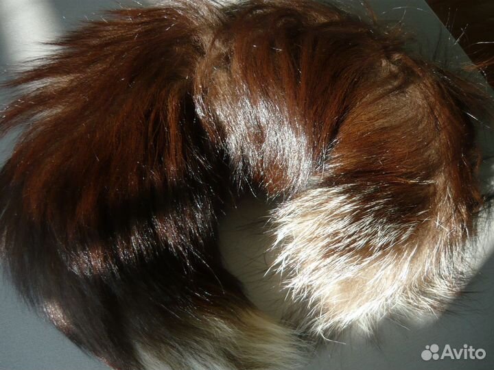 Чучело чернобурки