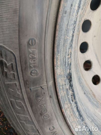 Tigar Ice 205/55 R16