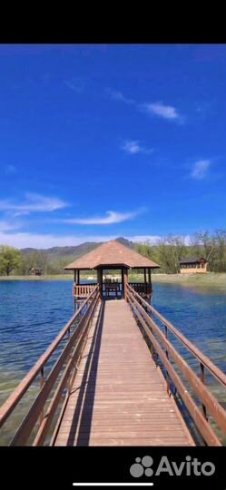 Охота и рыбалка