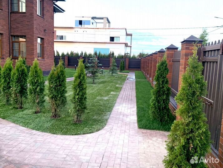 Рулонный газон