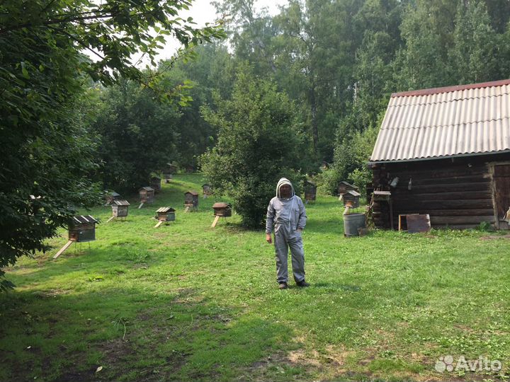 Мед Алтайский Ельцовский район Алт край собствен