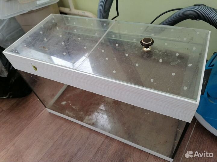 Аквариум для улиток Ахатин