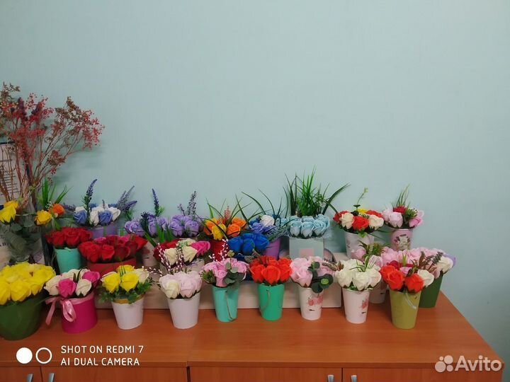 Флористика