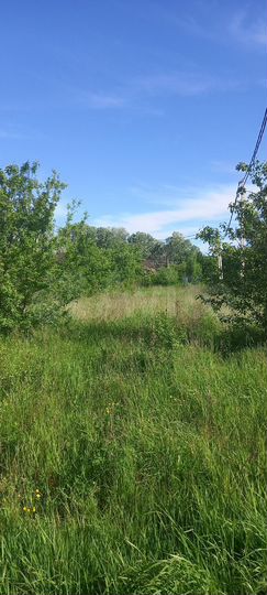 Участок 11 сот. (ИЖС)