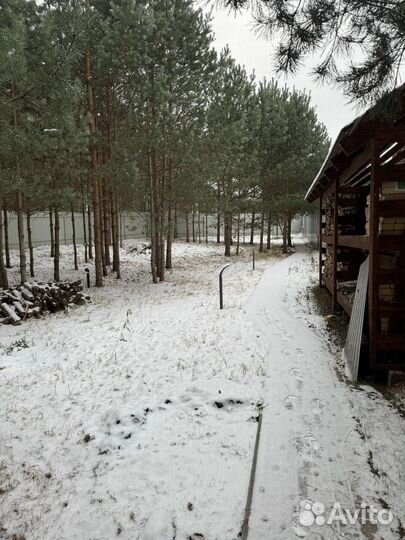 Фото - студия