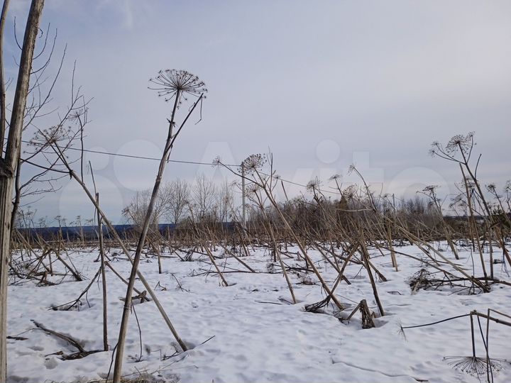 Участок 22 сот. (СНТ, ДНП)