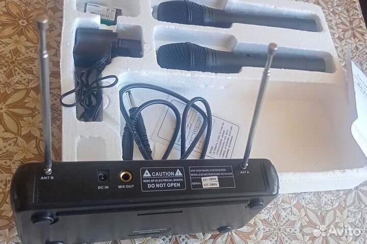 Профессиональная беспроводная система с 2 микрофон