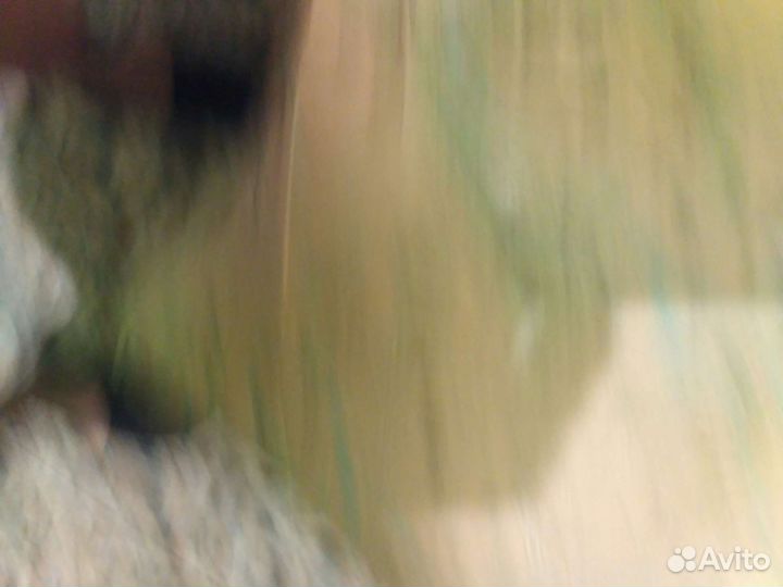 Иллюстрированная схема Москва -1965г