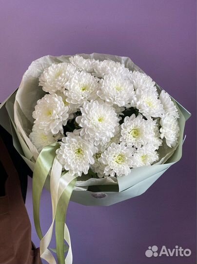 Хризантема. Букет из Хризантем. Цветы. Доставка