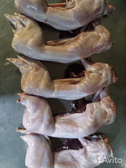 Гуси, утки, Мясо бройлера и кролика, яйцо