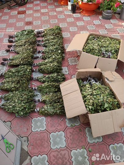 Веники березовые для бани