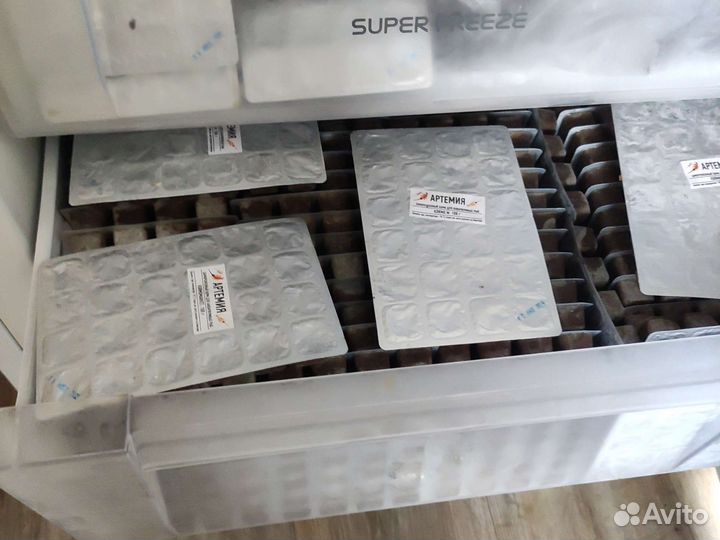 Корма для аквариумных рыбок заморозка