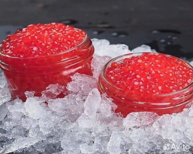 Красная икра 2024 камчатка
