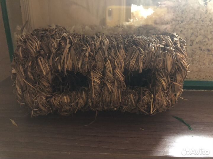 Туннель для хомяка