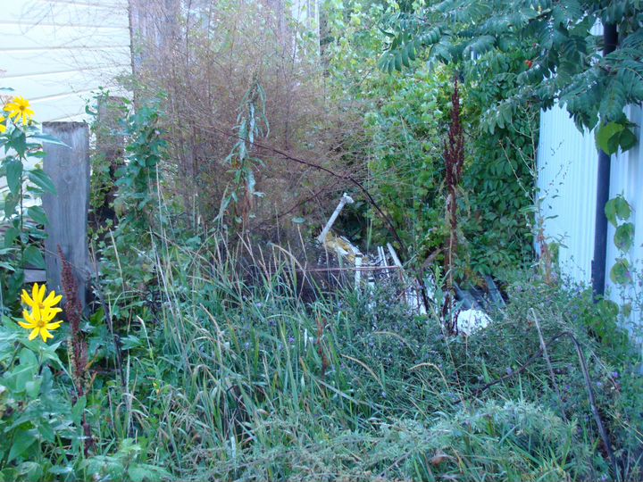 Участок 8,3 сот. (СНТ, ДНП)