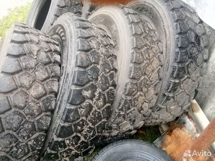 Калисо 315 на 80