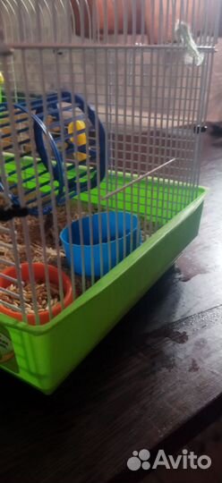 Клетка для грызунов