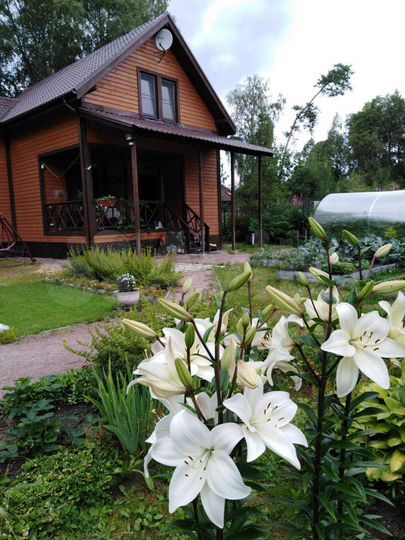 Дом 99 м² на участке 11 сот.