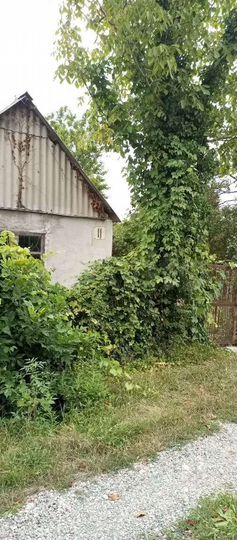 Дача 20 м² на участке 5 сот.