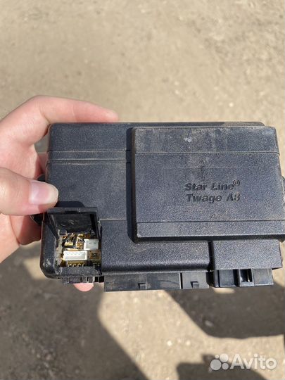 Мозги старлайн