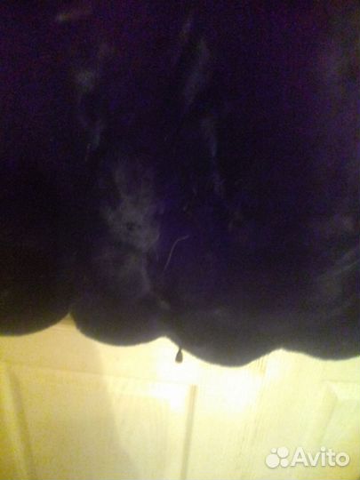 Мутоновая шубка размер М