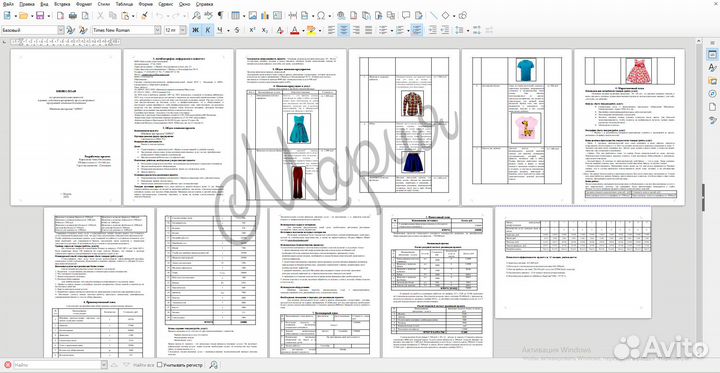 Бизнес план для соцконтракта