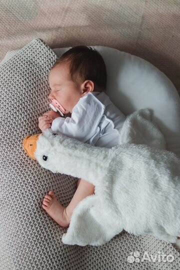 Фотограф новорожденных ньюборн