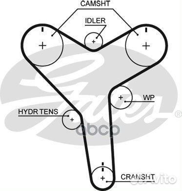 Ремень грм T257 Gates