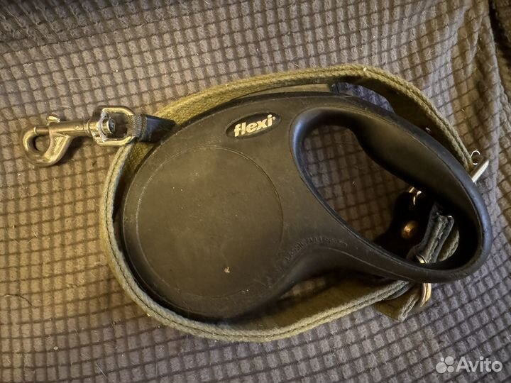 Поводок рулетка flexi 5м и ошейник