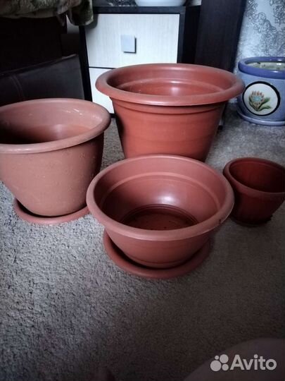 Горшки для цветов. 200 за все