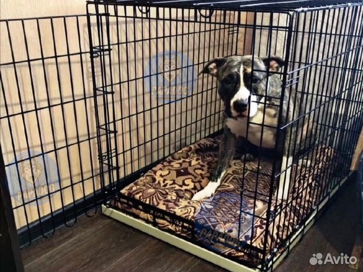Клетка для собак