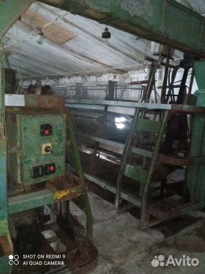 Цех, для содержания птицы, оборудование, обмен