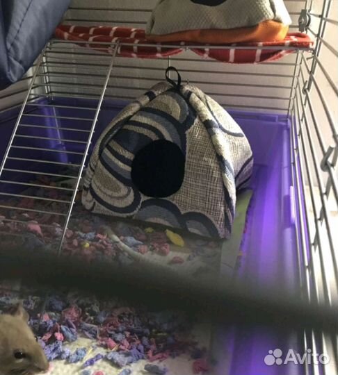 Домик для грызунов