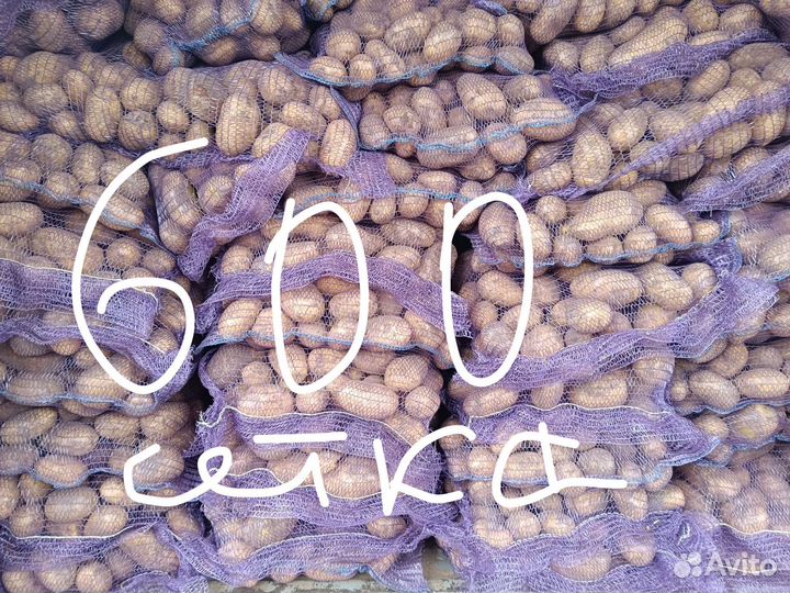 Картошка Оптом и розницу есть и на пасадку