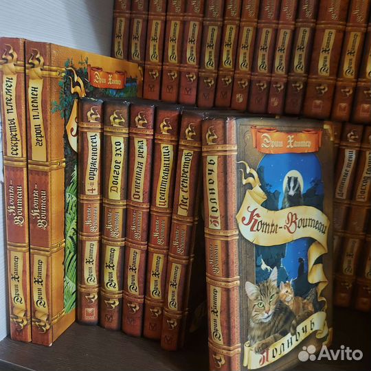 Книги коты воители