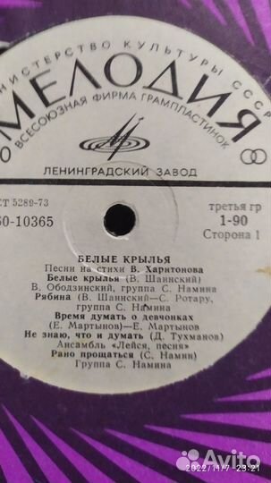 Виниловые пластинки